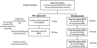 Prenatal Reflective Functioning as a Predictor of Substance-Using Mothers' Treatment Outcome: Comparing Results From Two Different RF Measures